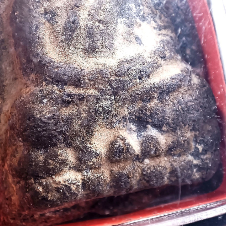 Luang Pu Thuat 2497 Herb Powder Amulet