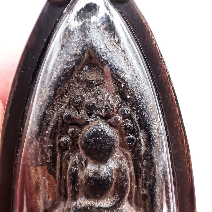 Khlong Takian Buddha Amulet Wat Pradoo Clay