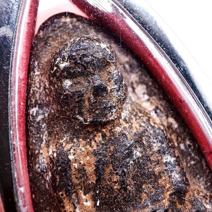 Luang Pu Thuat Wat Chang Hai BE 2497 Amulet