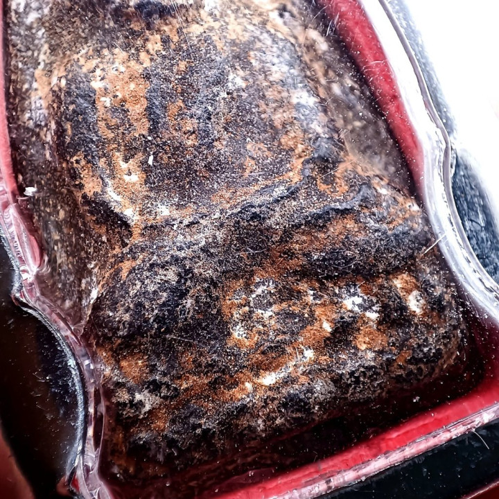 Luang Pu Thuat Wat Chang Hai BE 2497 Amulet