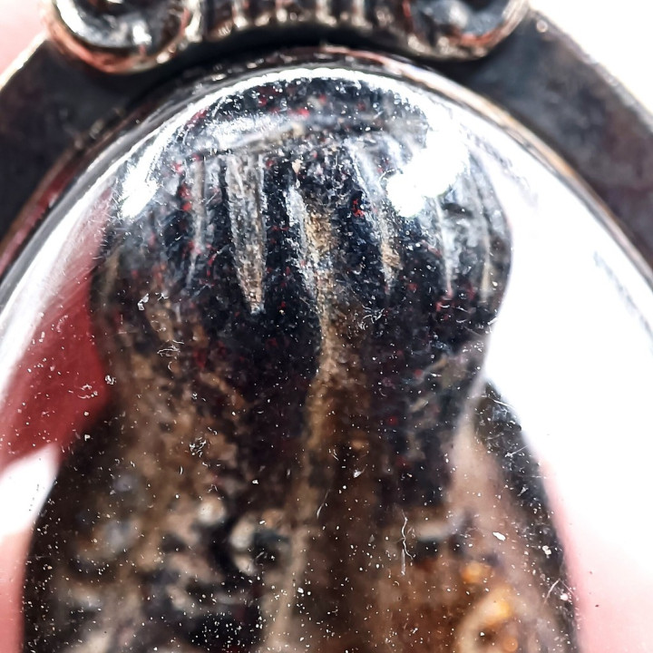 Pidta Amulet Luang Por Kron Wat Bang Sae