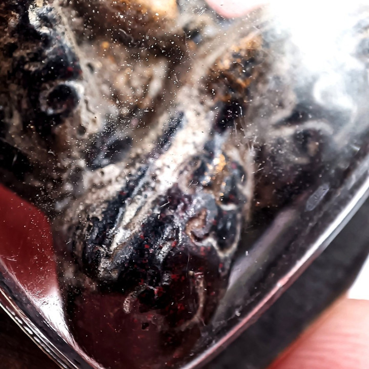 Pidta Amulet Luang Por Kron Wat Bang Sae