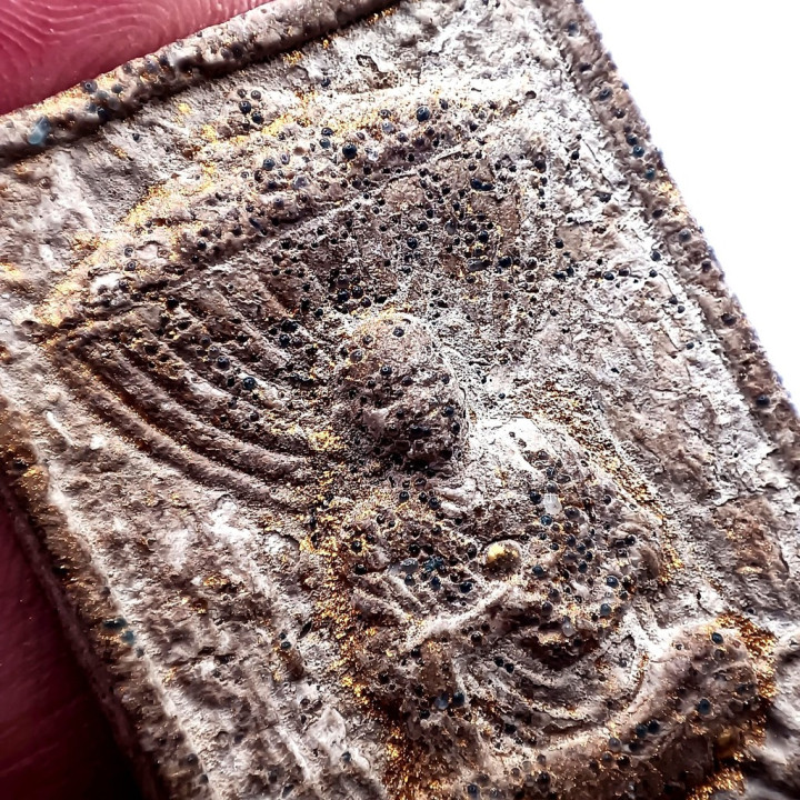 Somdet Toh Wat Rakang Amulet King Rama IV Seal