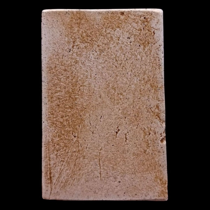 Somdet Phra Luang Por Toh Wat Rakhang Amulet