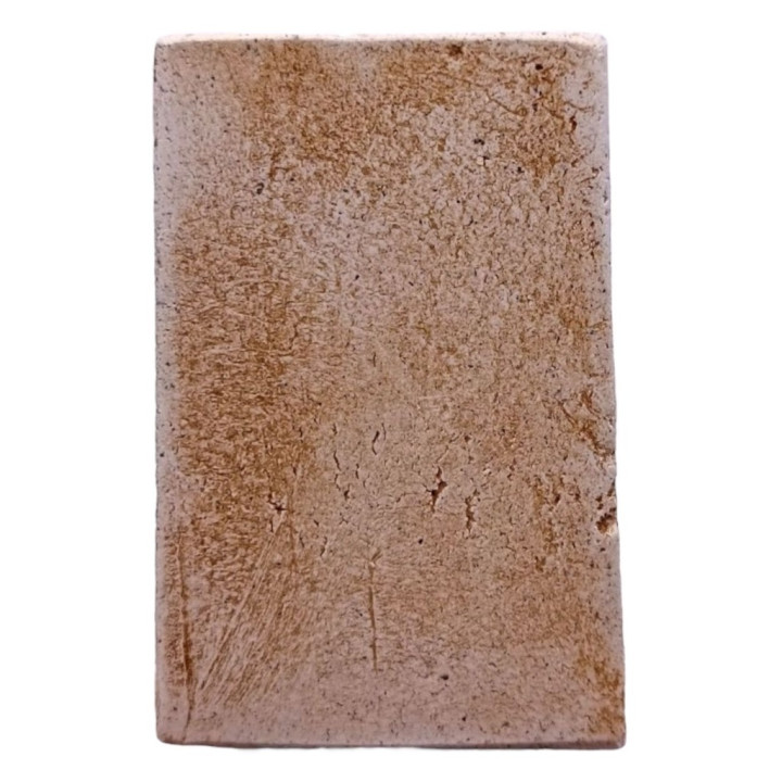 Somdet Phra Luang Por Toh Wat Rakhang Amulet