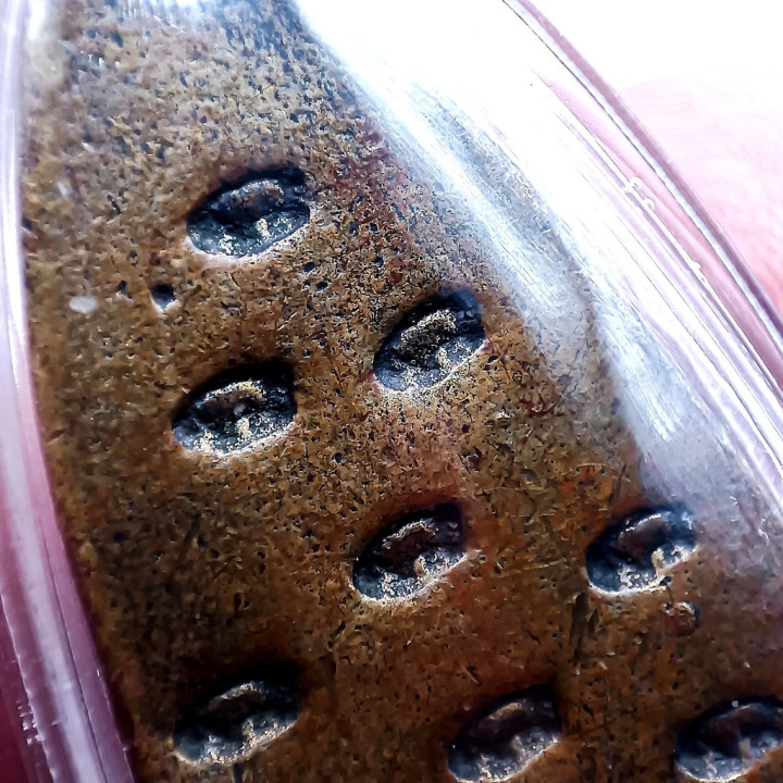 Luang Pu Thuat Buddha Amulet Wat Khok Mu
