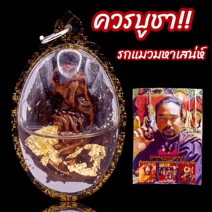 Cat Fetus Amulet with Gold Leaf