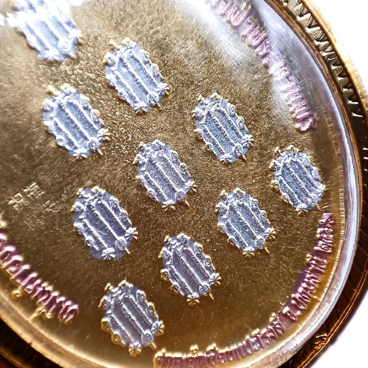 Sian Pae Rong Sri 3K Amulet Micron Gold Case