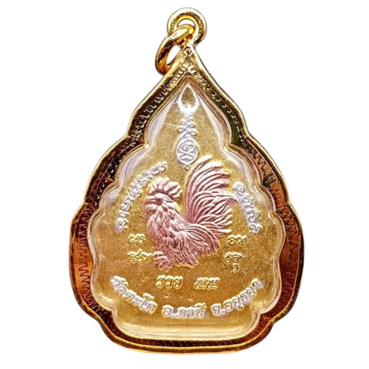 Luang Por Ruay Wat Tako Ruay 55 Amulet