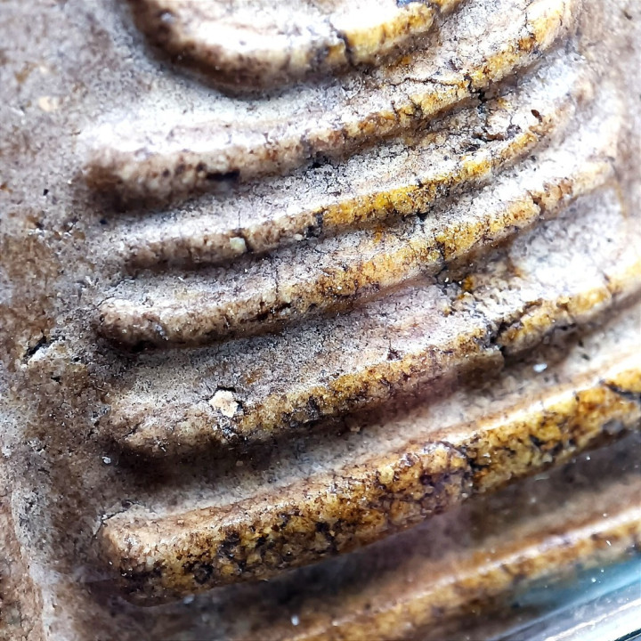 Phra Somdej Buddha Amulet Wat Rakhang