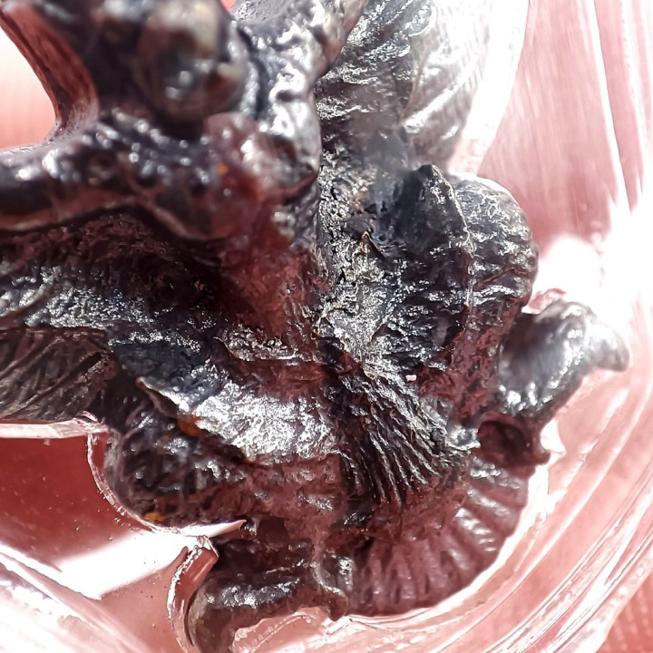 Phaya Krut Luang Pu Seng Amulet Pendant