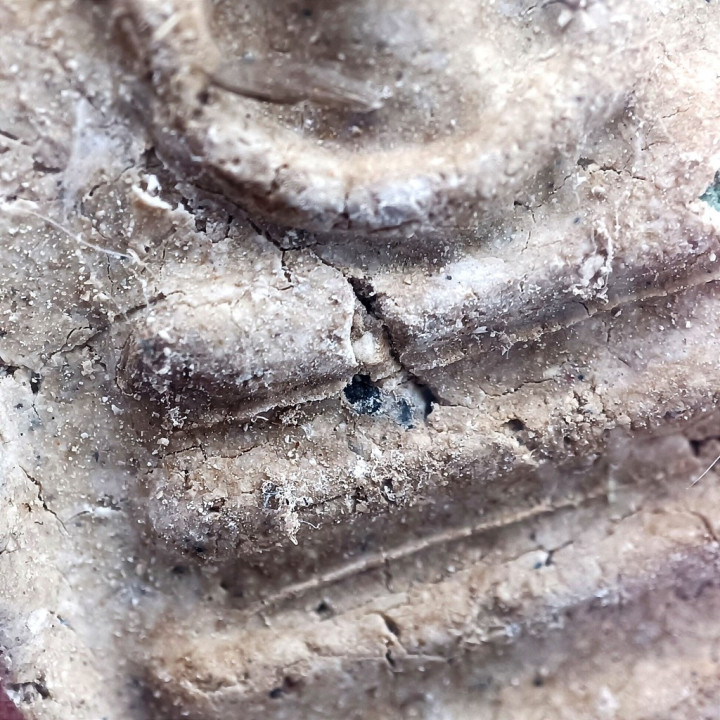 Phra Somdej Wat Rakhang Buddha Amulet