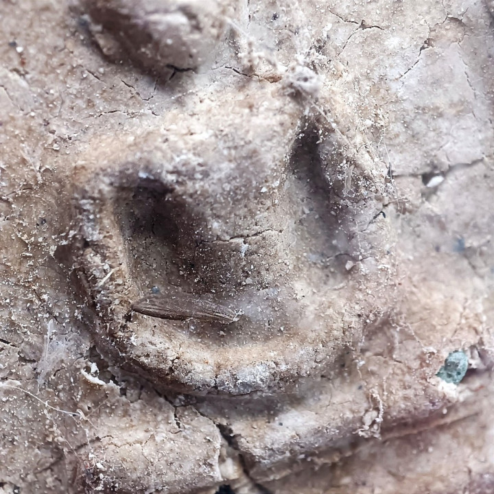 Phra Somdej Wat Rakhang Buddha Amulet