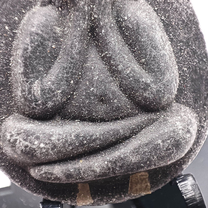 Luang Pu Toh Phra Pidta Jumbo 1 Amulet