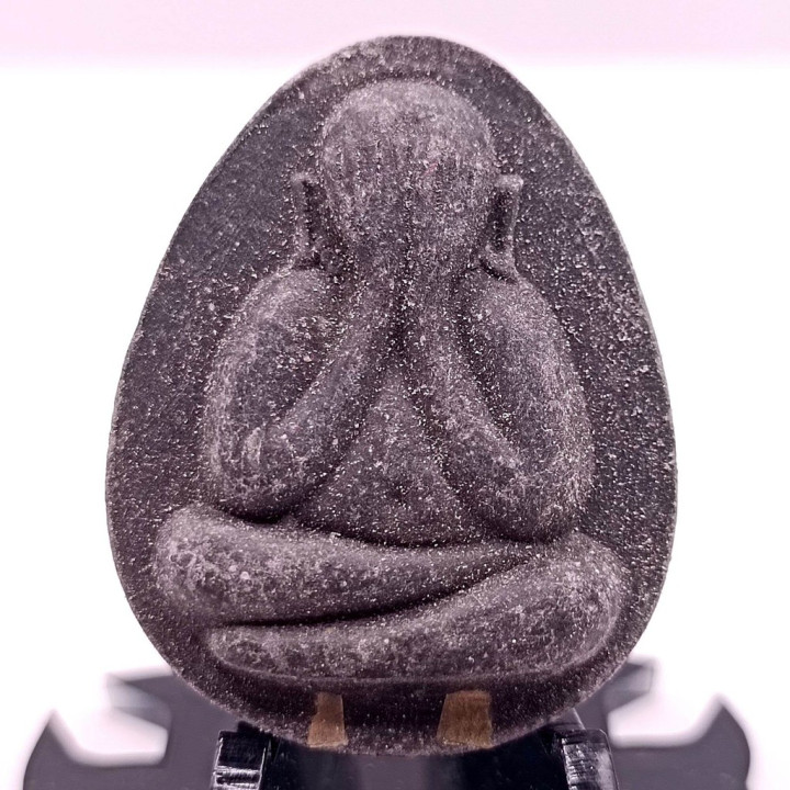 Luang Pu Toh Phra Pidta Jumbo 1 Amulet