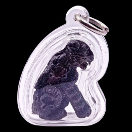 Luang Por Ear Tiger Amulet Bronze Waterproof