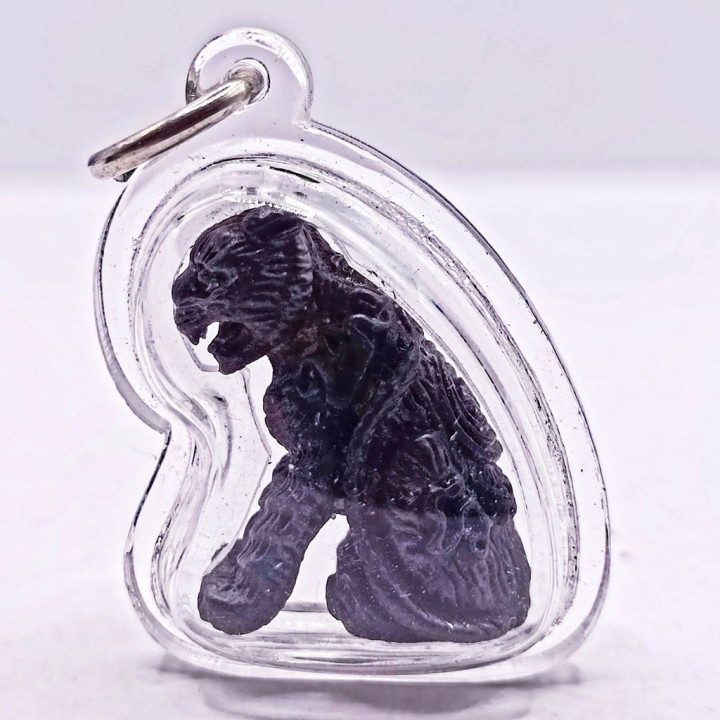 Luang Por Ear Tiger Amulet Bronze Waterproof