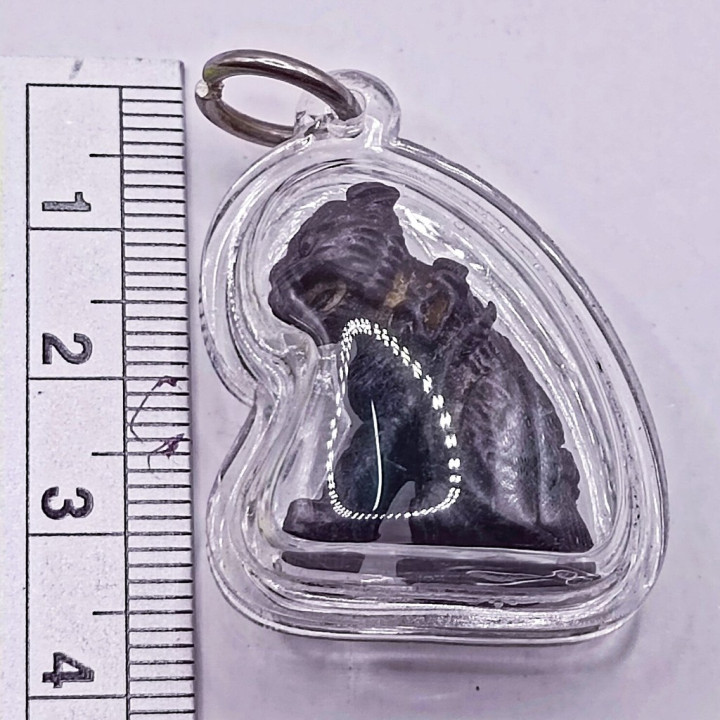 Luang Por Ear Tiger Amulet Bronze Waterproof