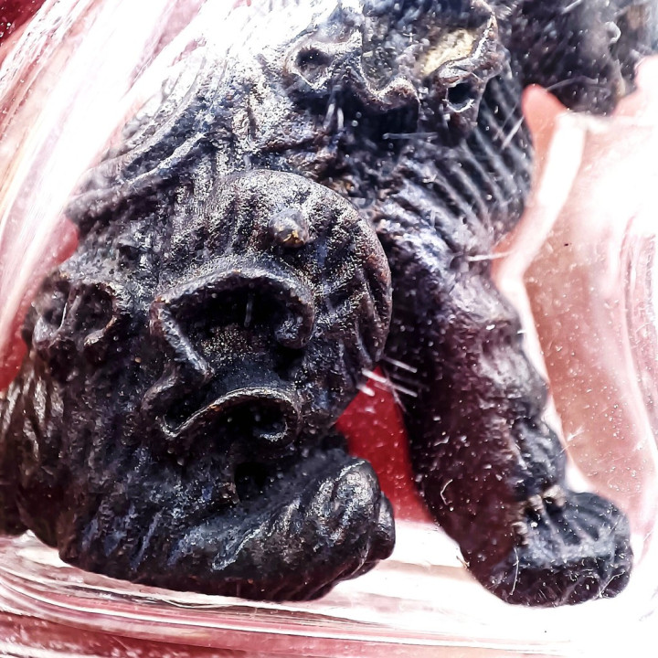 Luang Por Ear Tiger Amulet Bronze Waterproof