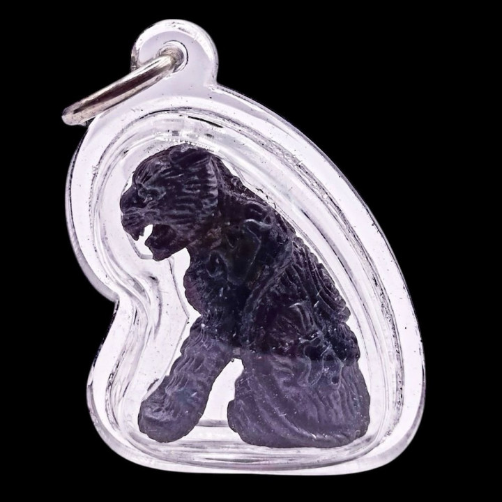 Luang Por Ear Tiger Amulet Bronze Waterproof