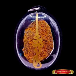Lucky Cat Placenta Amulet Pendant Wealth Charm