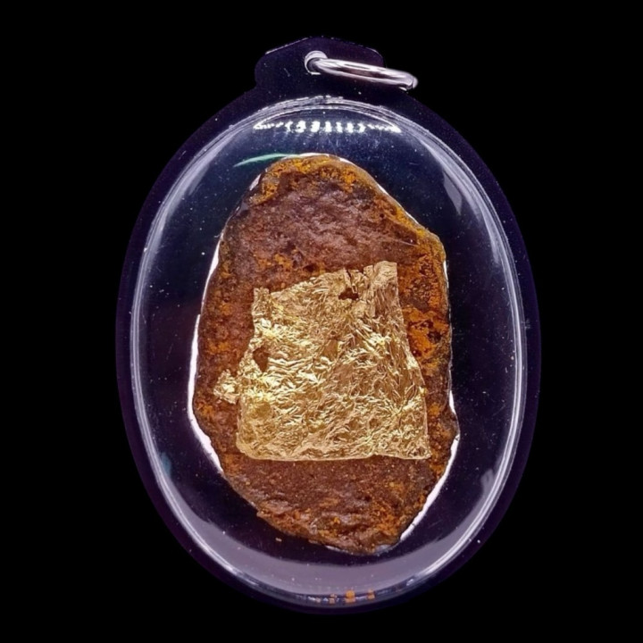 Lucky Cat Placenta Amulet Pendant Wealth Charm