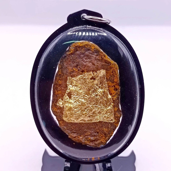 Lucky Cat Placenta Amulet Pendant Wealth Charm