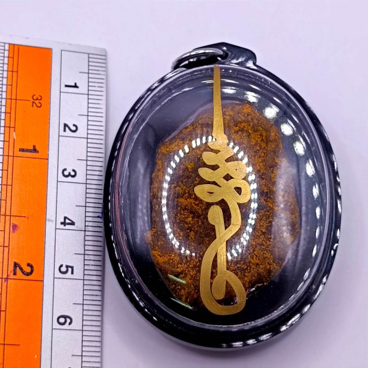 Lucky Cat Placenta Amulet Pendant Wealth Charm