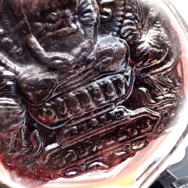 Luang Por Ruay Ruen Pun Lan Amulet Pendant