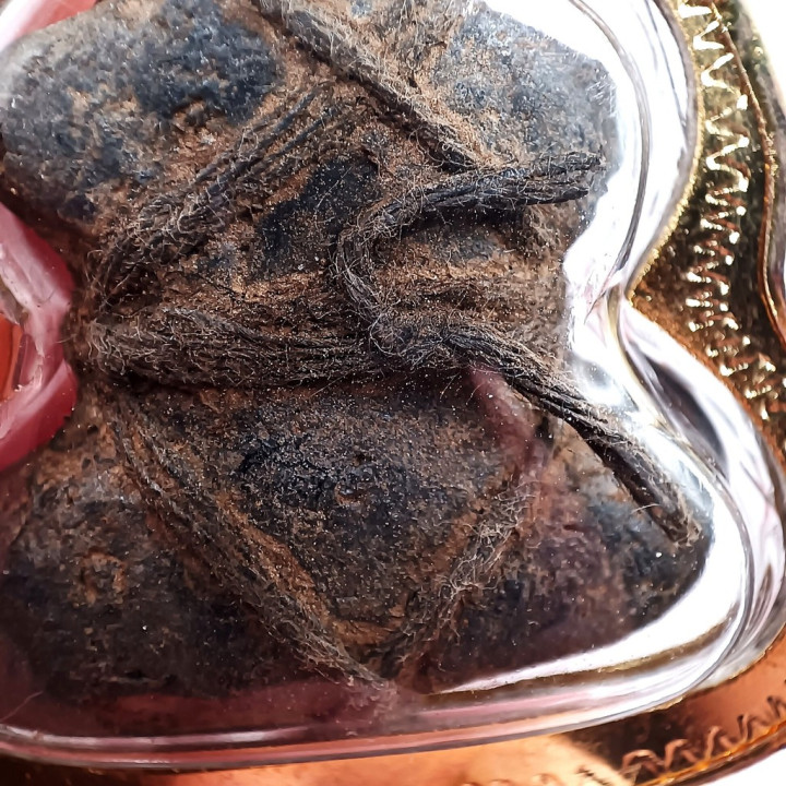 Pidta Luang Pu Iam Amulet Gold Plated