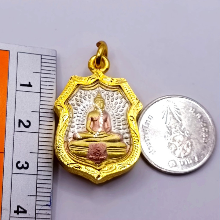 Luang Por Sothorn Buddha Amulet Sema Coin