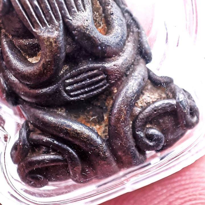 Luang Pu Iam Wat Nang Phra Pidta Bronze Amulet