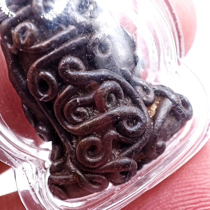 Luang Pu Iam Wat Nang Phra Pidta Bronze Amulet