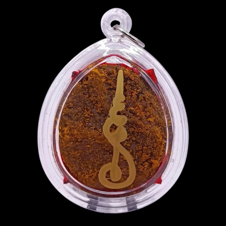 Lucky Cat Placenta Nang Kwak Amulet Pendant