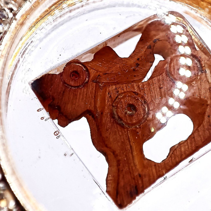 Luang Por Guay Singha Amulet BE 2521