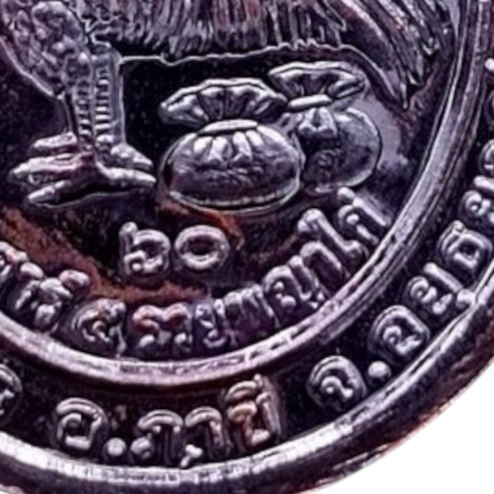 Luang Por Ruay Wat Tako Rooster Coin Amulet