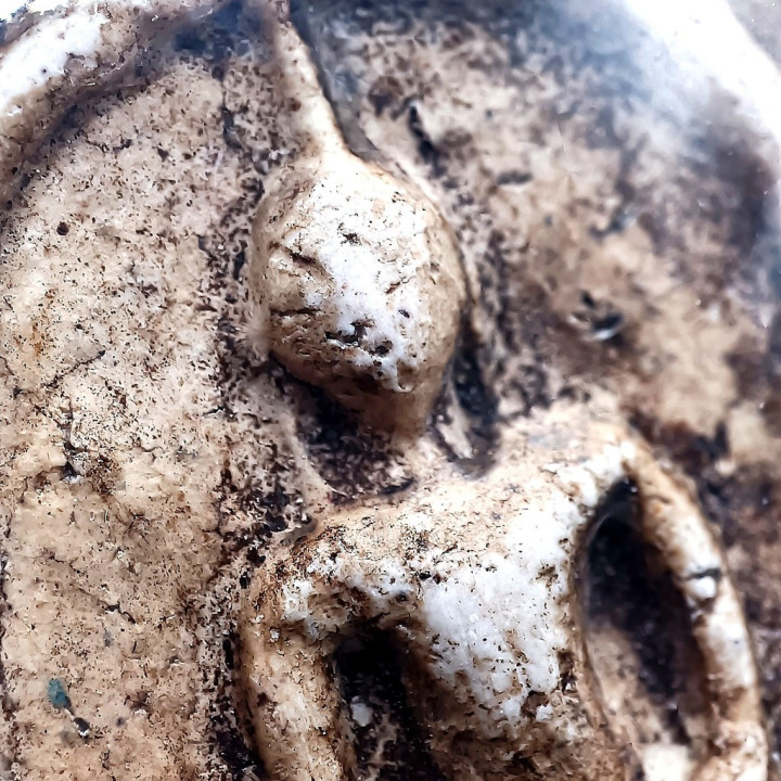 Phra Somdej Wat Rakhang Phim Yai Buddha Amulet