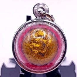 Luang Pu Tim Amulet BE 2517 Stainless Steel Case