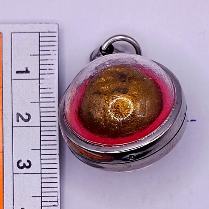 Luang Pu Tim Amulet BE 2517 Stainless Steel Case