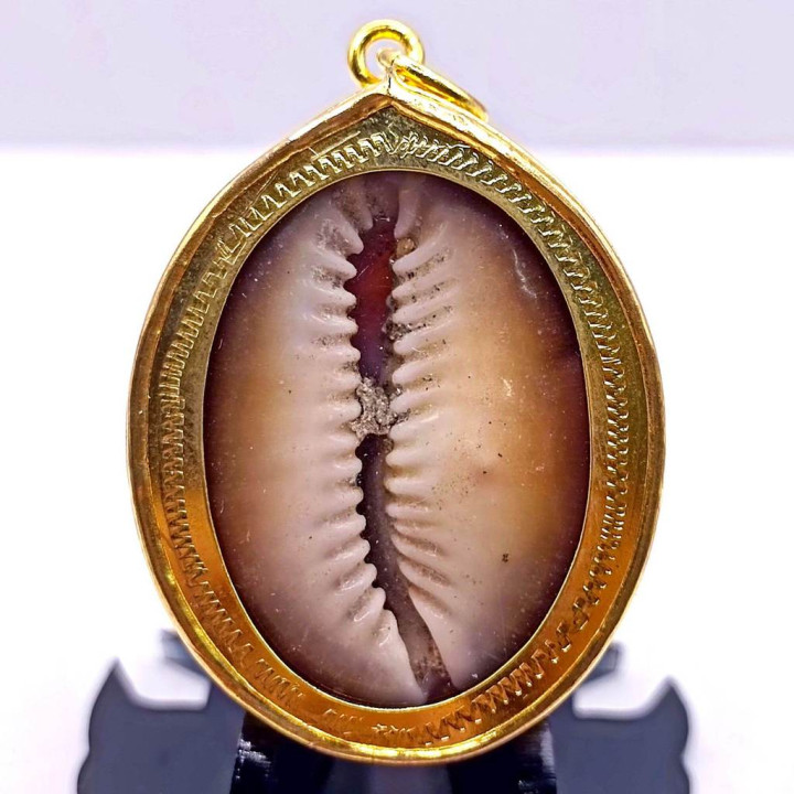 Thai Bia Gae Amulet Luang Pu Maha Sila
