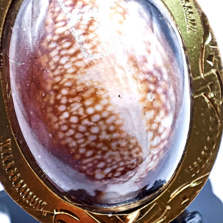Thai Bia Gae Amulet Luang Pu Maha Sila