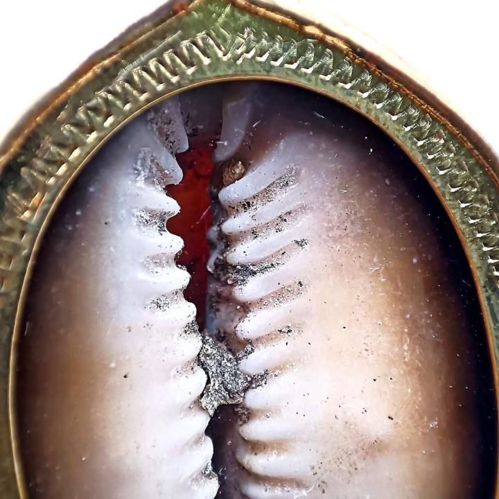 Thai Bia Gae Amulet Luang Pu Maha Sila