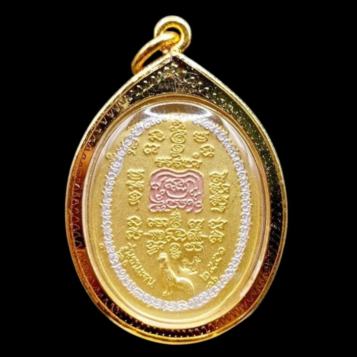 Luang Por Ruay Wat Tako Chana Jon 2556 Amulet