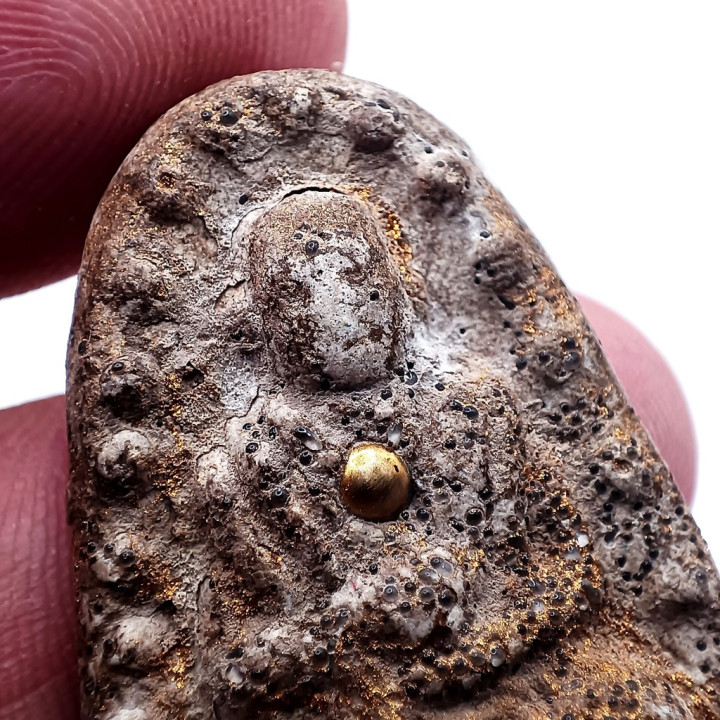 Somdej Luang Por To Amulet Herb Betel Nut Mineral