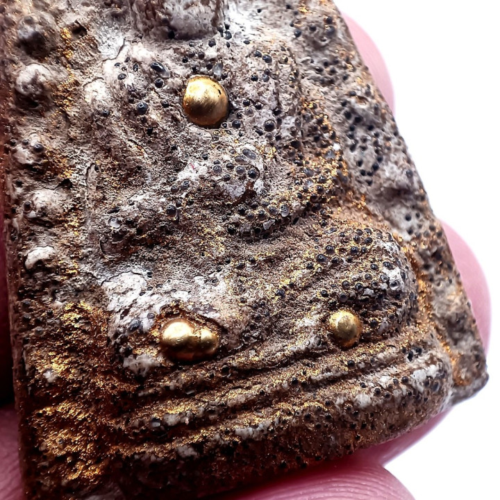 Somdej Luang Por To Amulet Herb Betel Nut Mineral