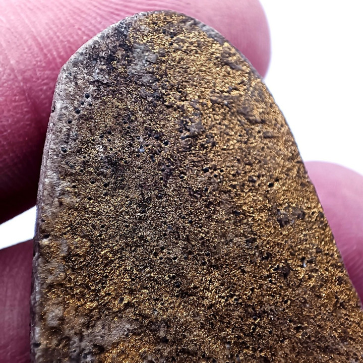 Somdej Luang Por To Amulet Herb Betel Nut Mineral