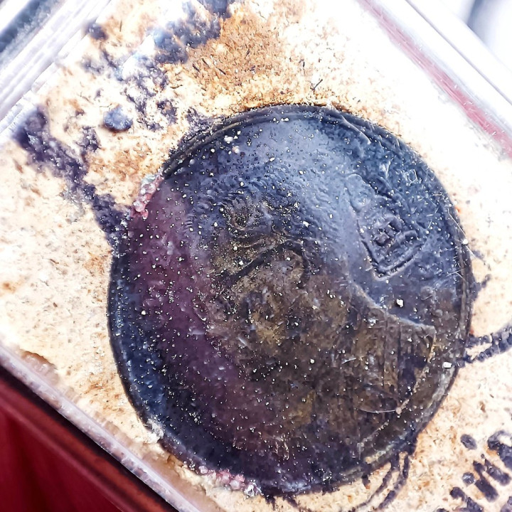 Phra Somdej Luang Por Prom Buddha Amulet