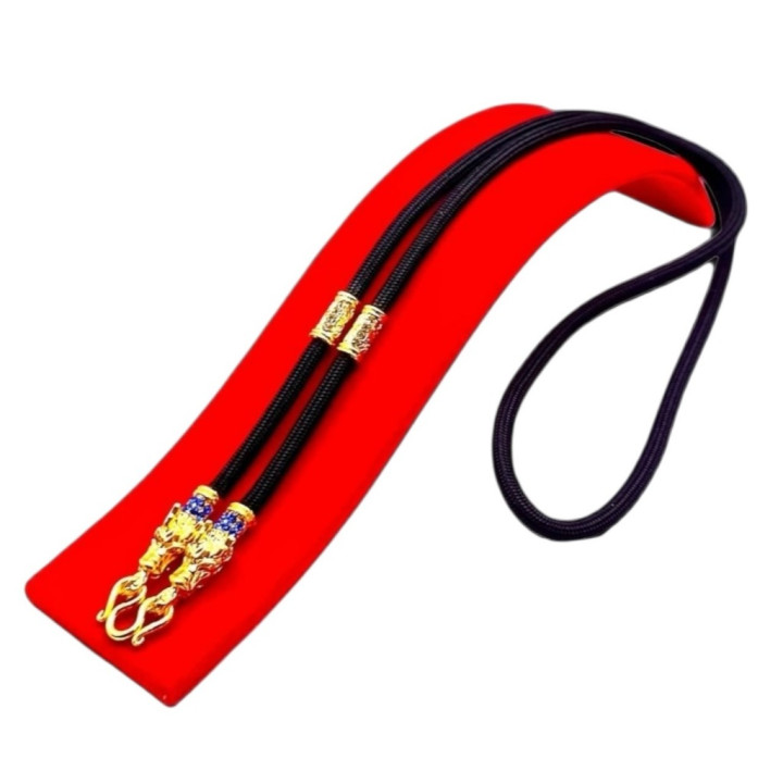 Dragon Head Amulet Necklace 24 inch Rope Chain