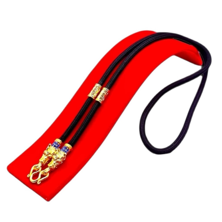 Dragon Head Amulet Necklace 24 inch Rope Chain