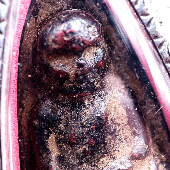 Luang Pu Thuat Wat Chang Hai 2497 Herb Amulet